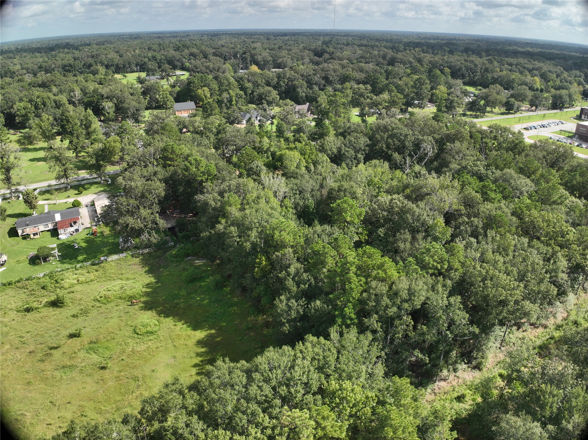 27060 Hill And Dale Avenue, Splendora, TX 77372