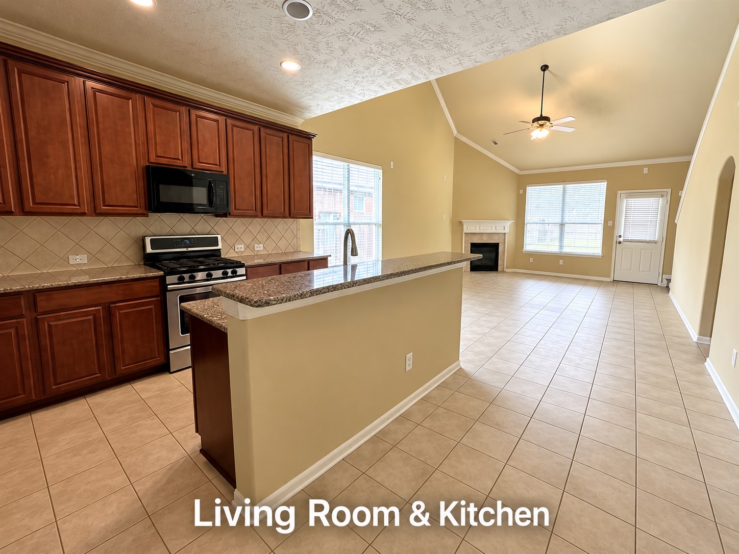 24442 Dartford Springs Lane, Katy, TX 77494