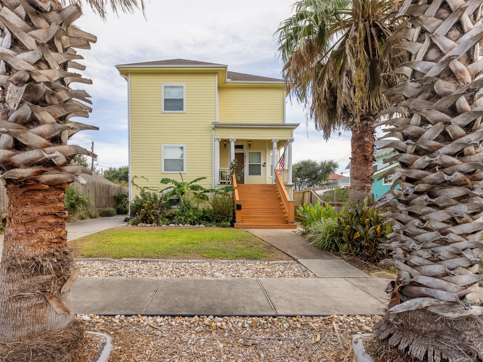 Front House showing the two palms