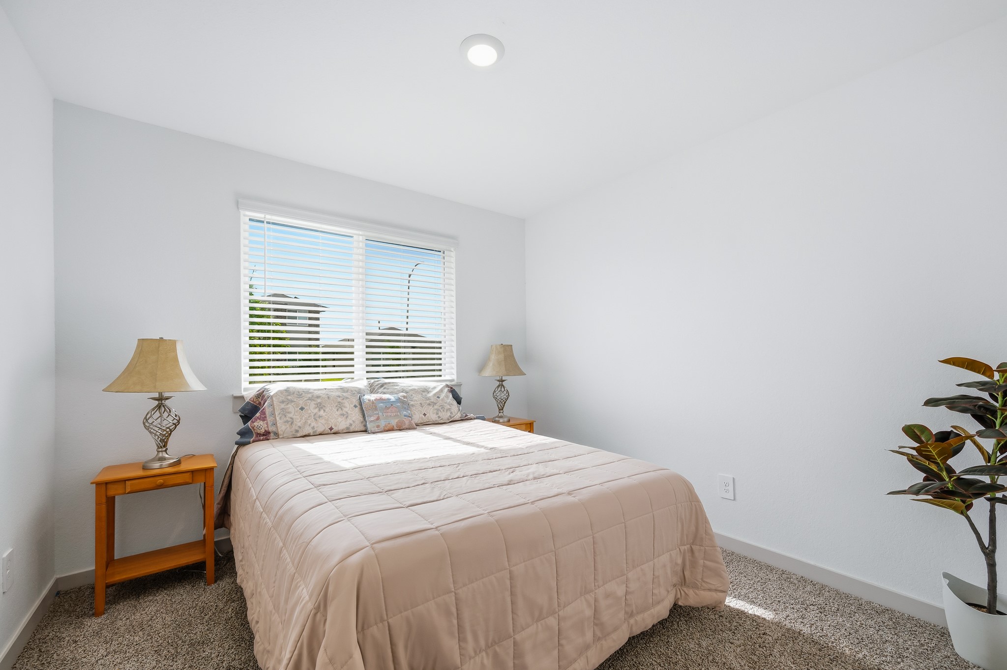Bright, cozy bedroom with a large window allowing natural light, neutral walls, and carpeted flooring. Features a comfortable bed with side tables and decorative lamps, plus a small indoor plant for a touch of greenery.