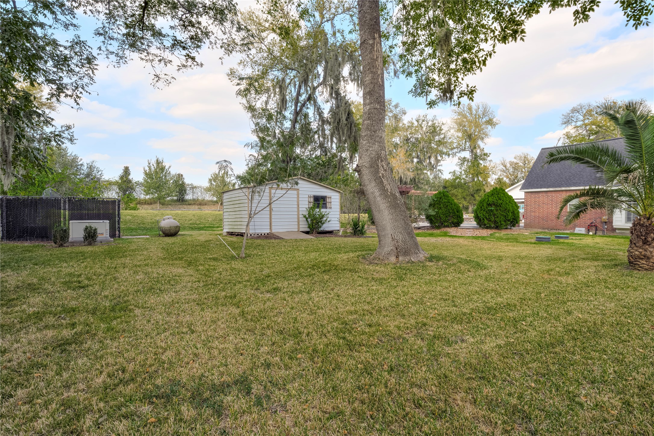 Backyard Shed