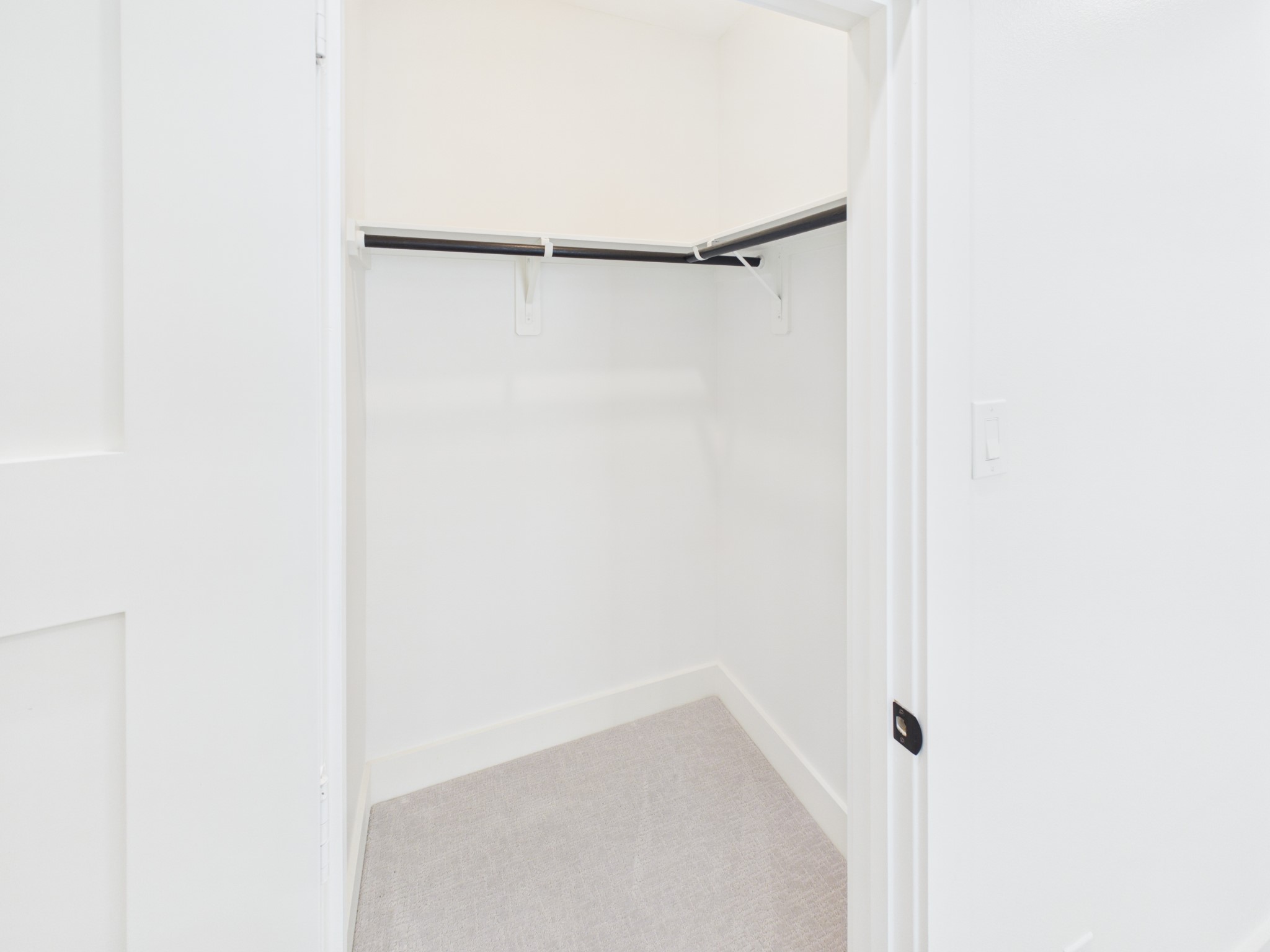 primary