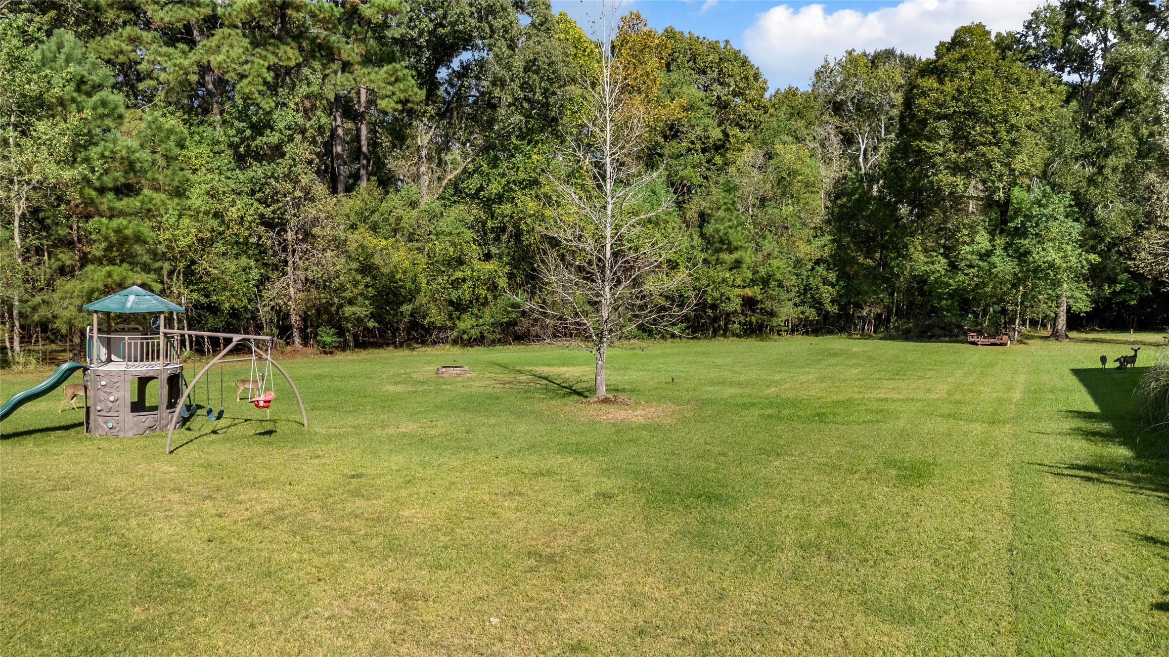 Wide-open skies, lush green grass, and endless possibilities! Imagine the outdoor adventures and memories waiting to be made here.