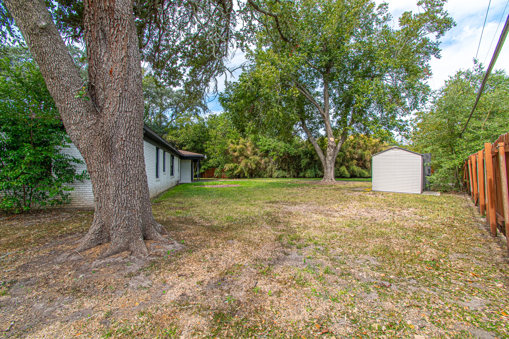 Plenty of space, and a storage shed!