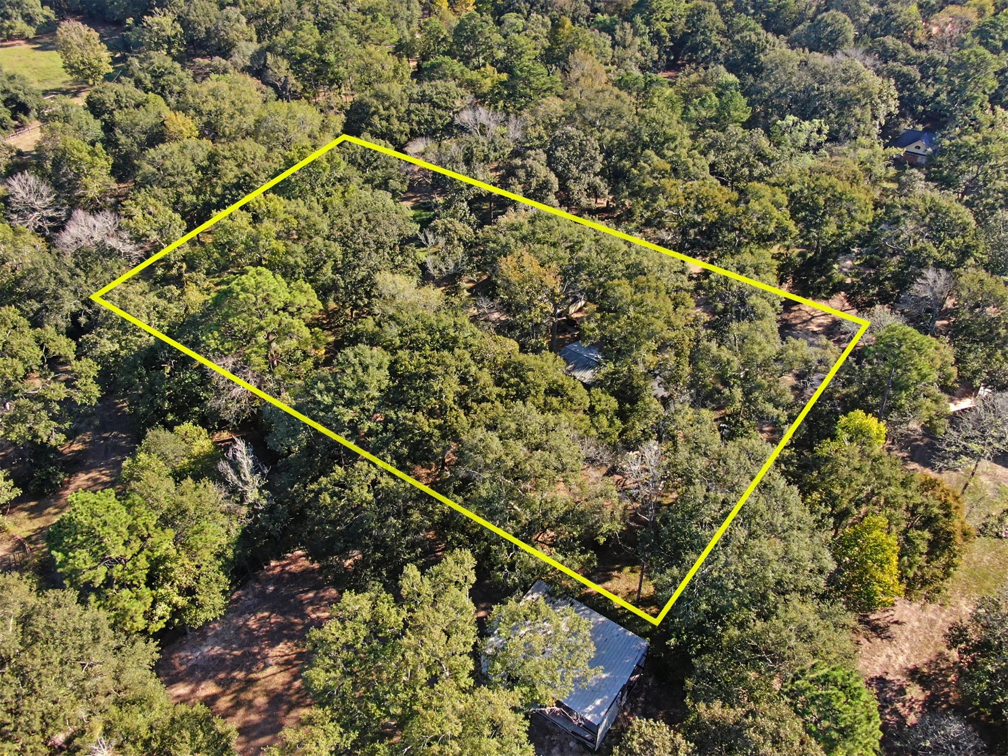 19127 Stillwood Road, Cleveland, TX 77328