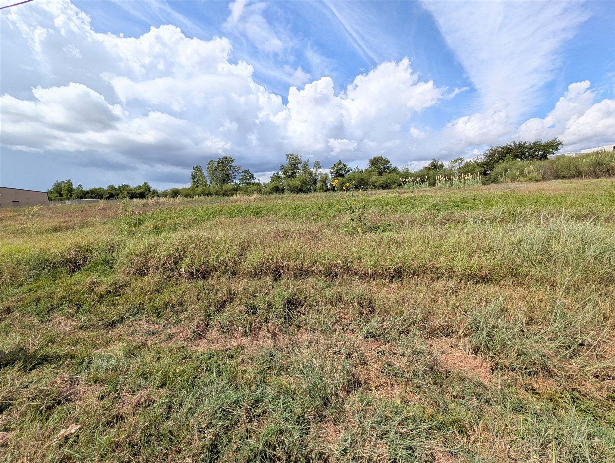 000 Walsh Road, Rosenberg, TX 77471
