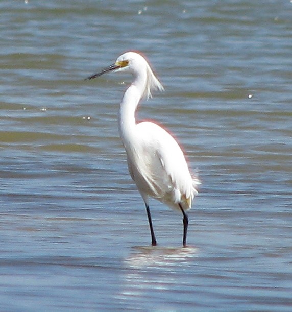 2 Hawkeye, Hitchcock, TX 77563