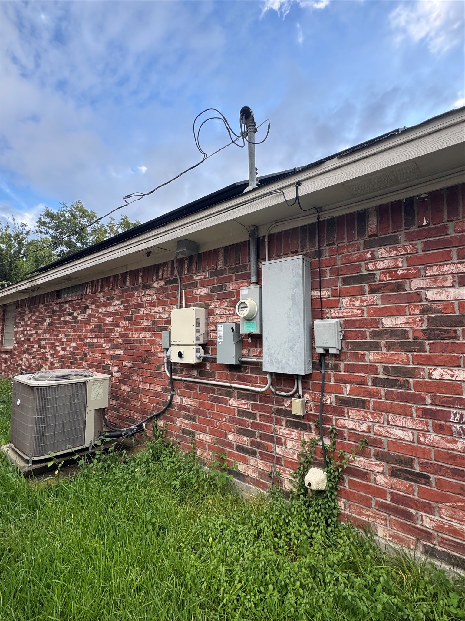Left side of house