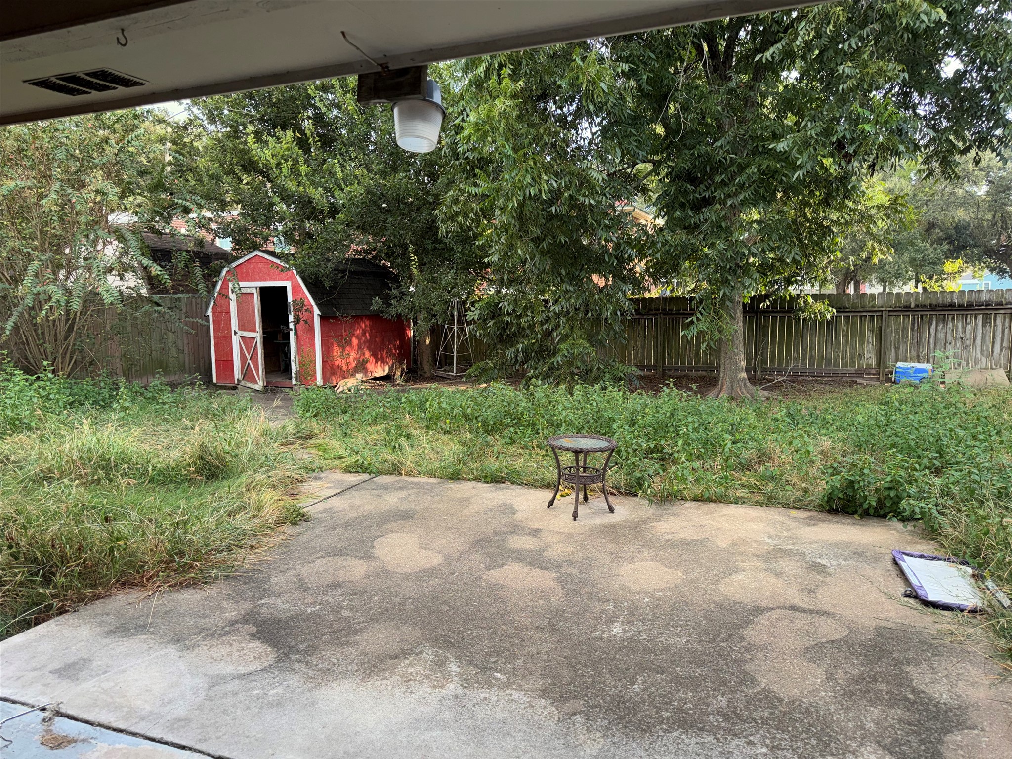 Back yard