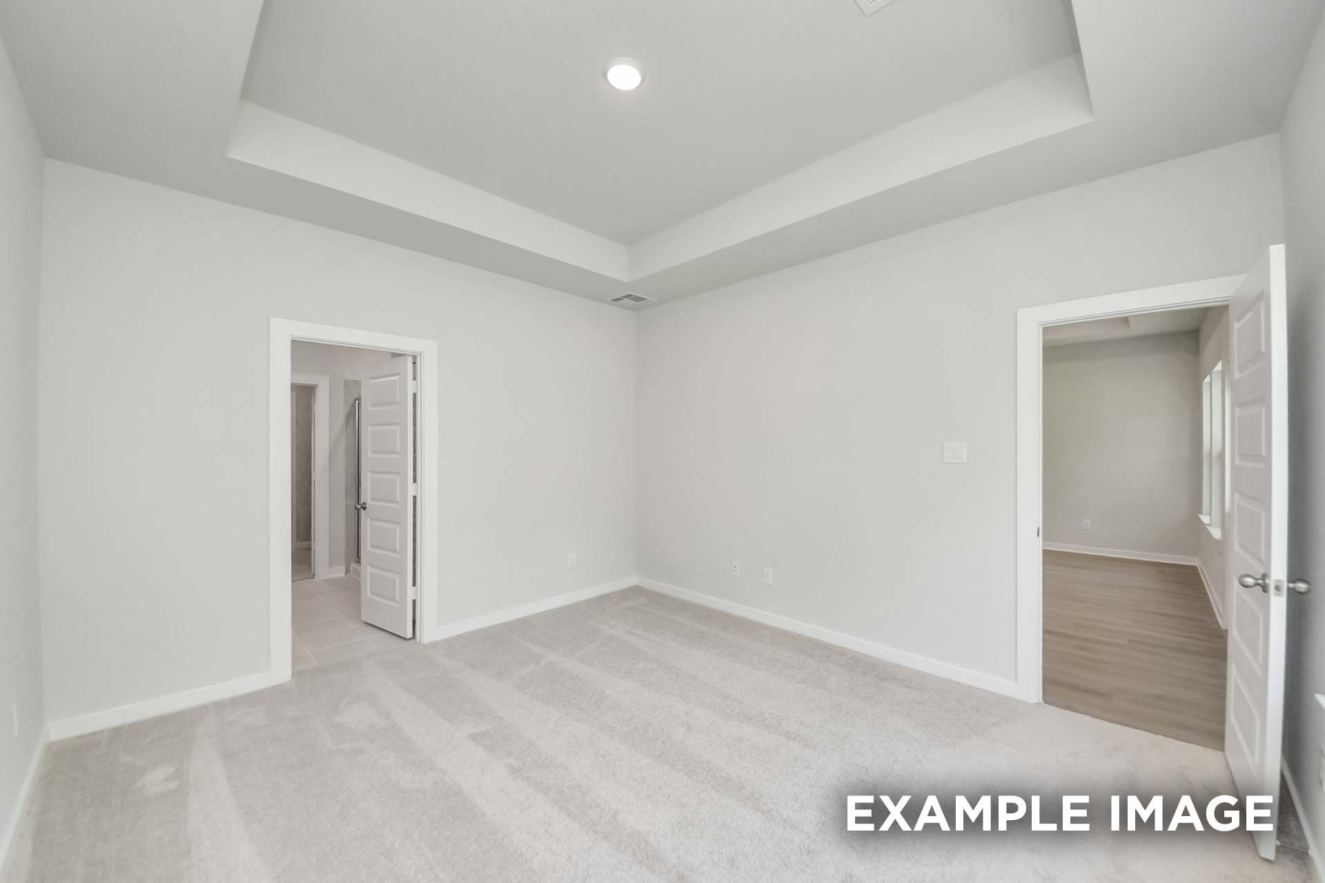 1115 Wildflower Way Drive, Beasley, TX 77417