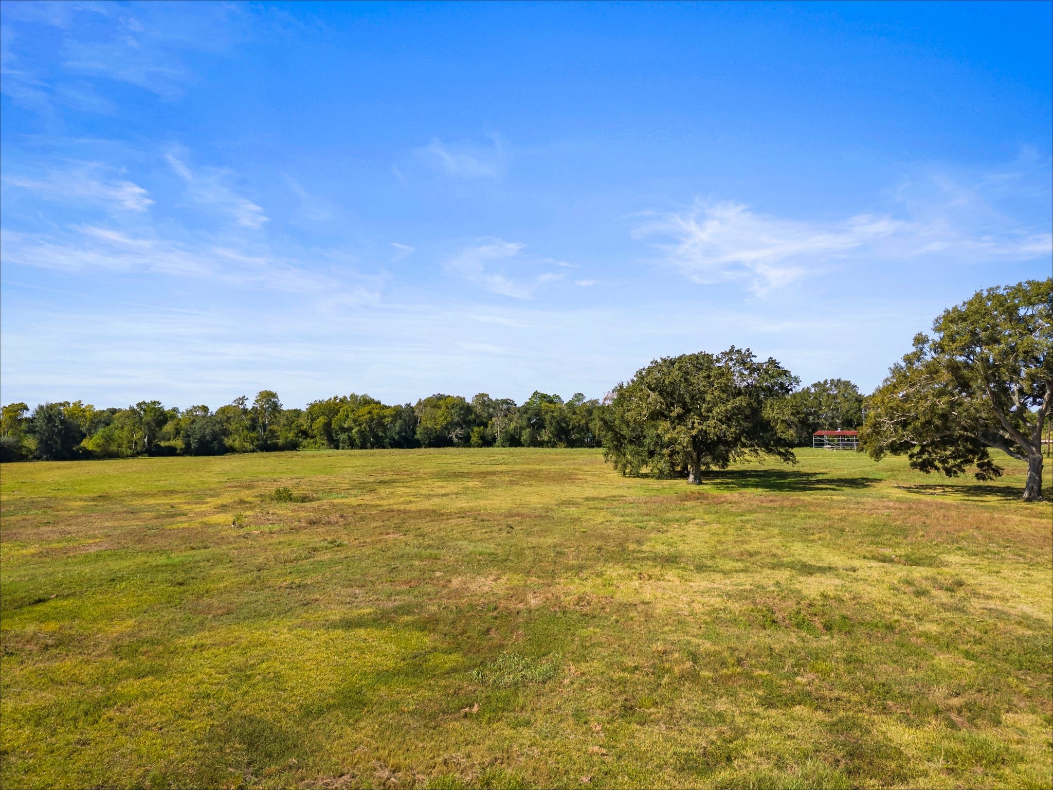7002 Jordan Road, Manvel, TX 77578
