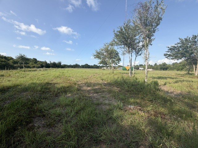 2884 Broadway Street, Dickinson, TX 77539 2884 Broadway Street, Dickinson, TX 77539