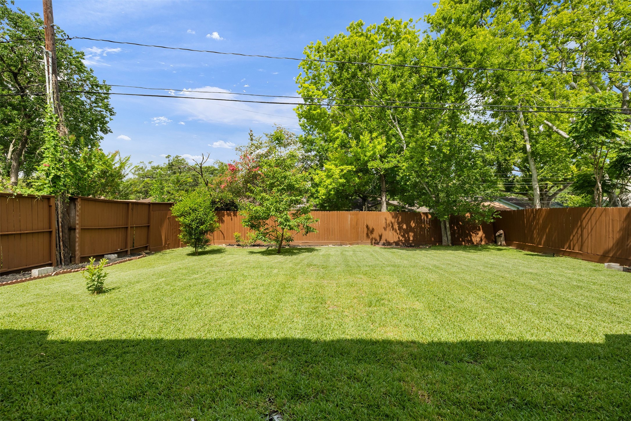 Huge backyard!