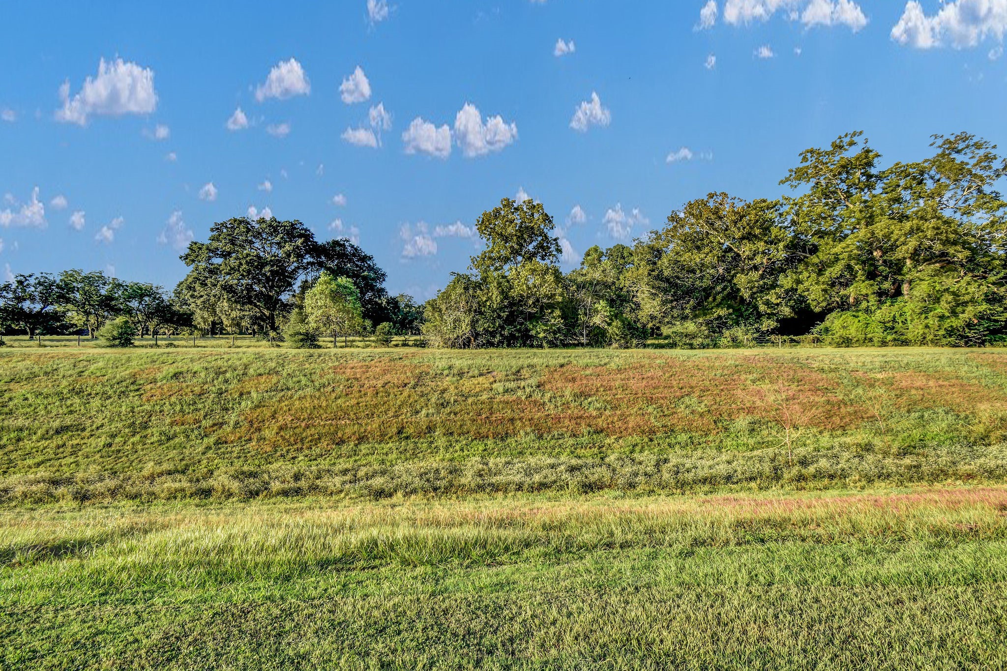 406 Wellshire Drive, West Columbia, TX 77486