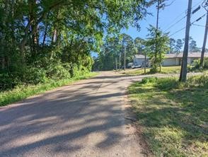 15504 Big Bow Bend, Willis, TX 77378