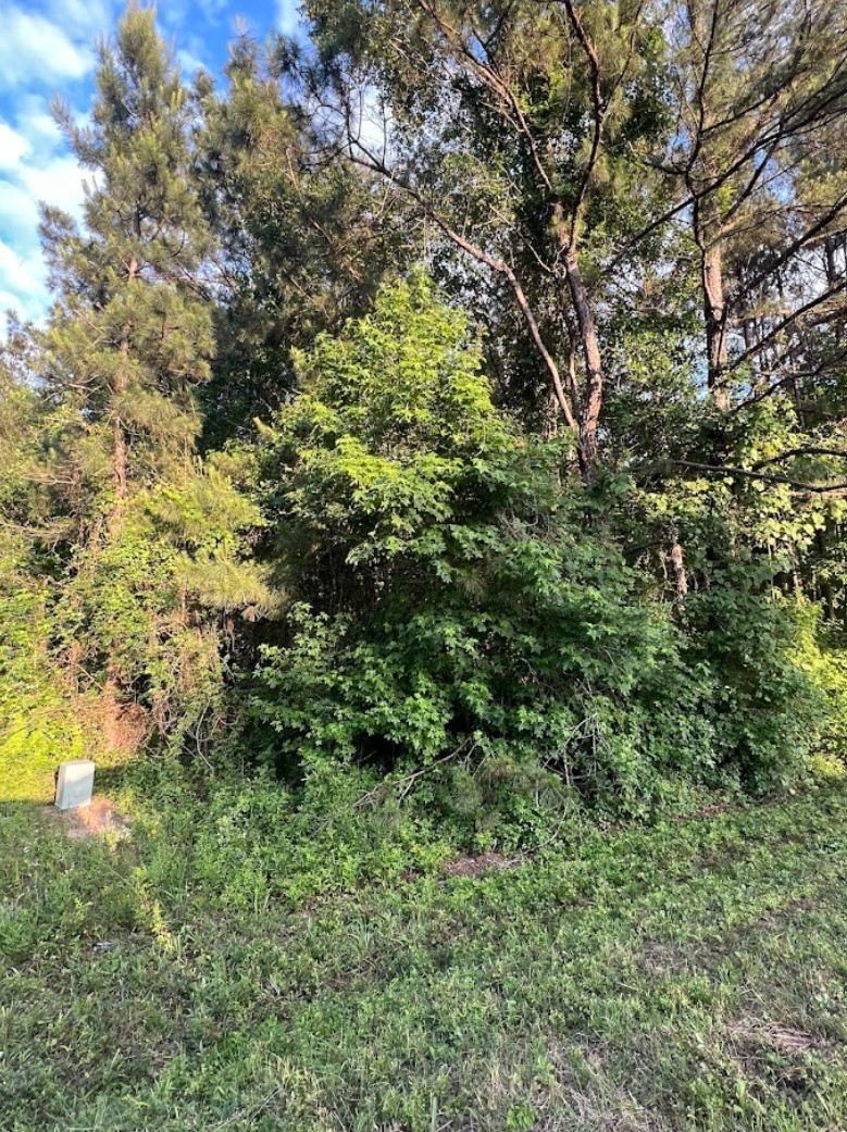 108 Peach Creek Drive, New Caney, TX 77357