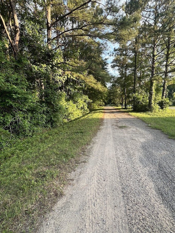 108 Peach Creek Drive, New Caney, TX 77357