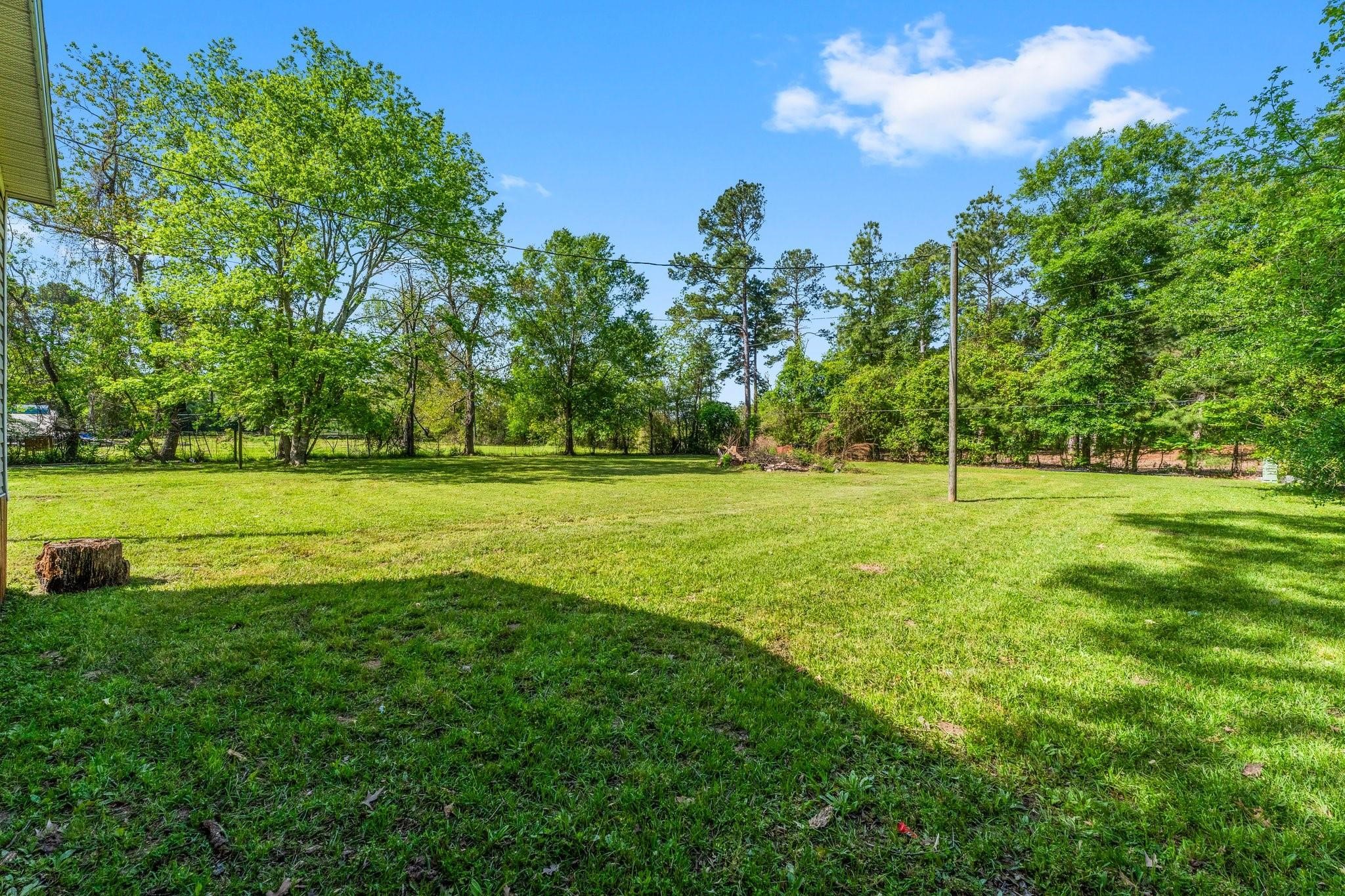 33107 Bear Branch Lane, Magnolia, TX 77354