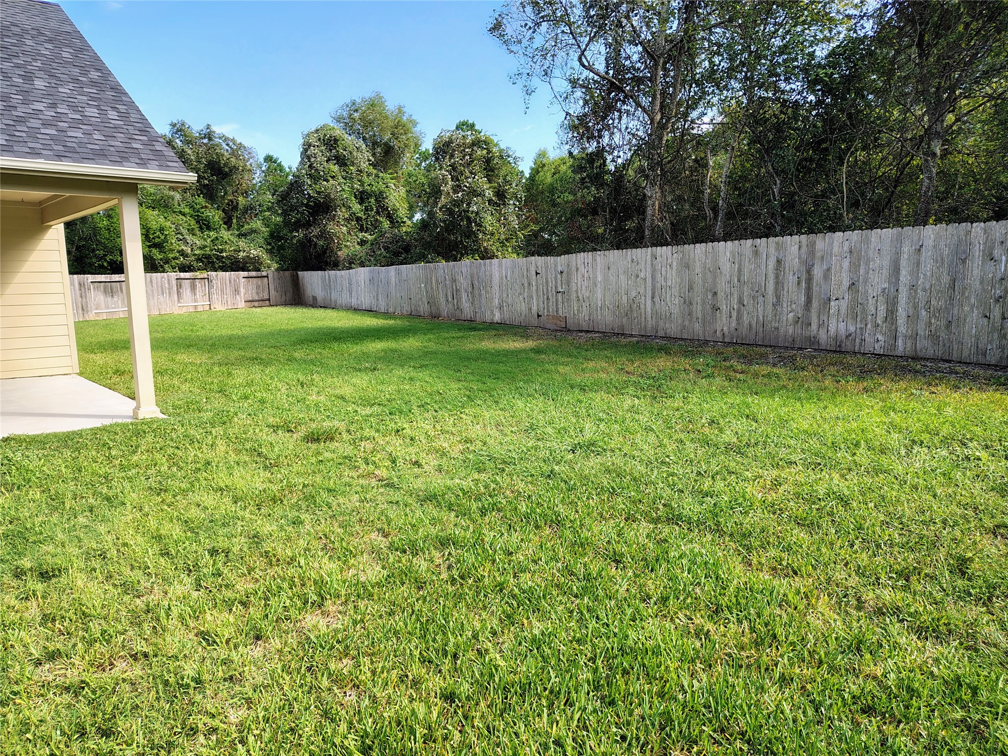 Backyard
