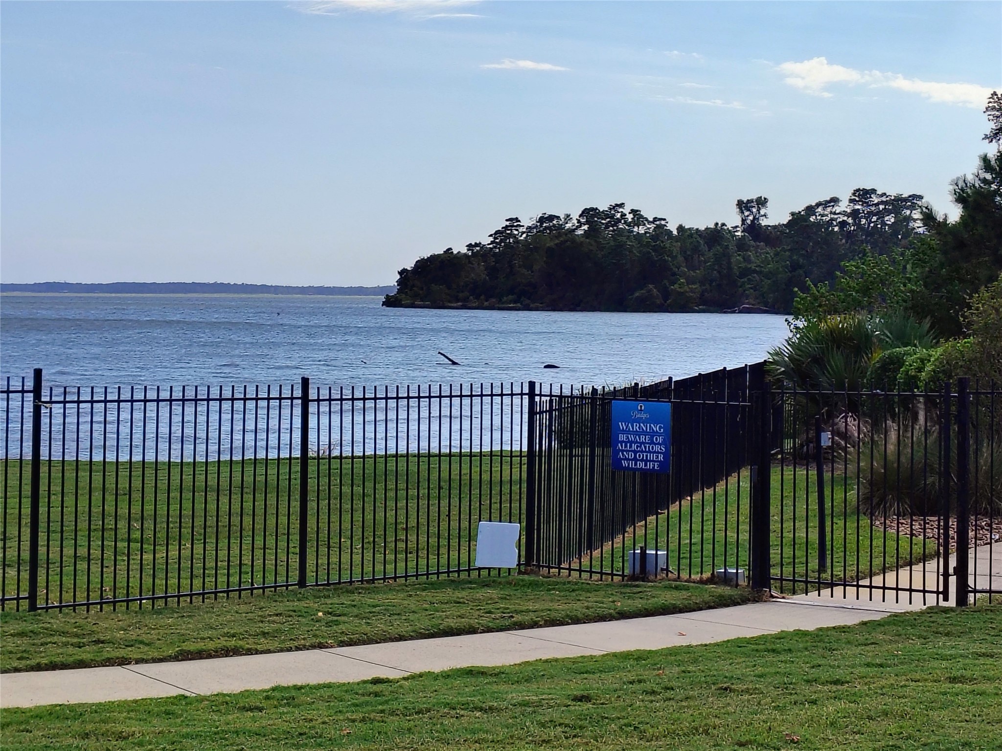 Lake Houston
