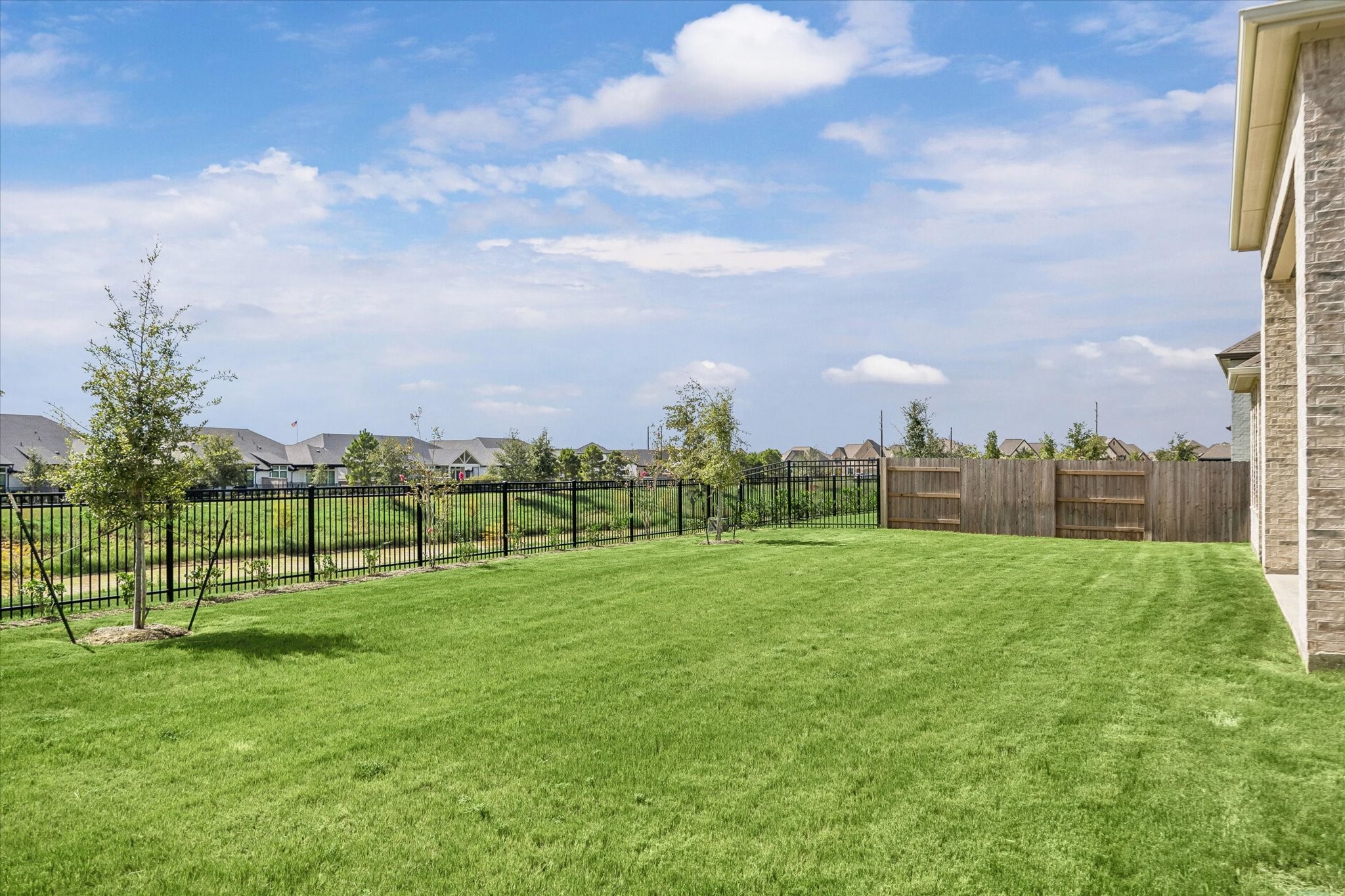 SPACIOUS BACKYARD FEATURES A LARGE GRASSY LAWN WITH OPEN GREENBELT VIEWS BEYOND THE IRON FENCE.