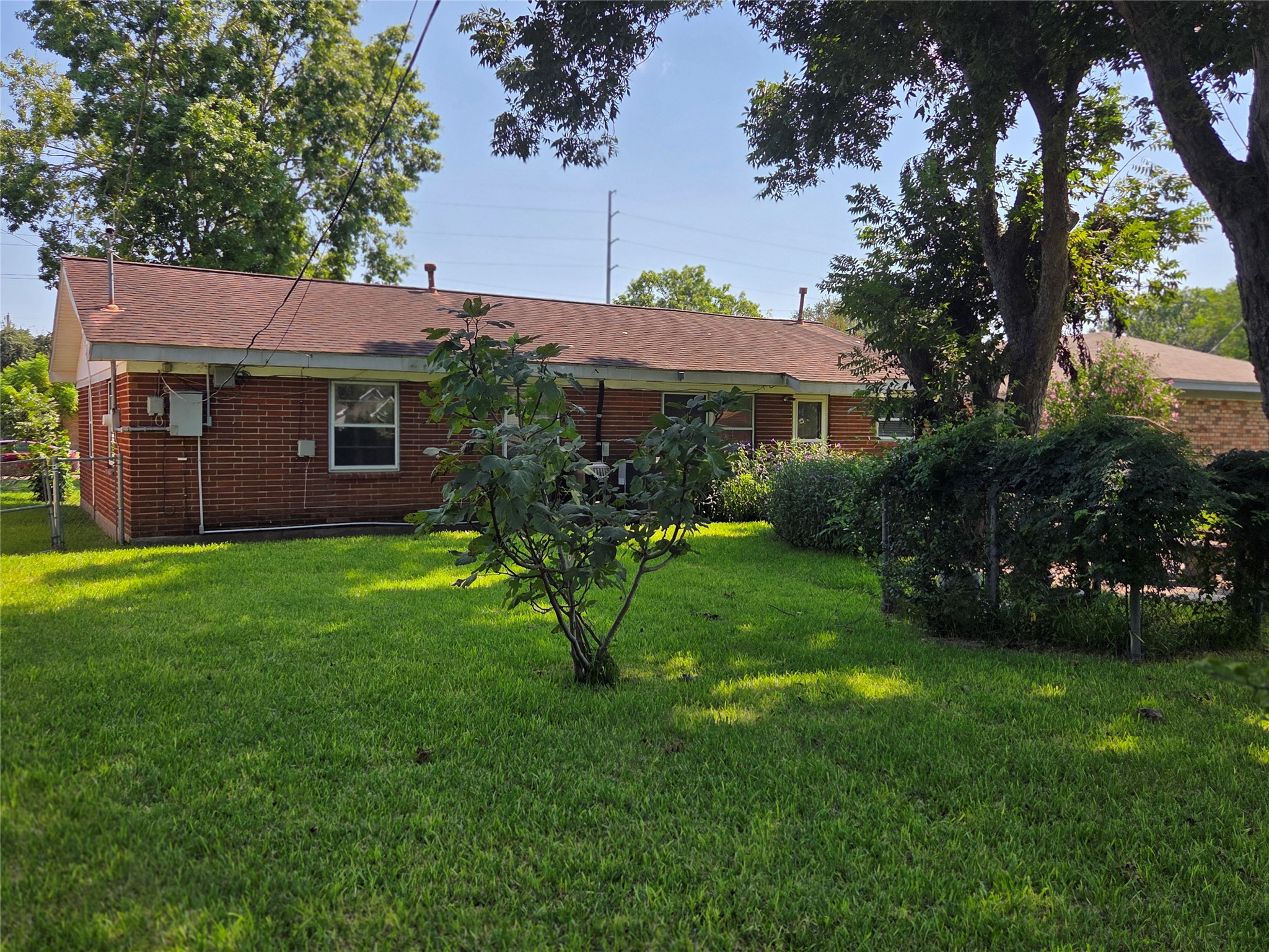 Backyard