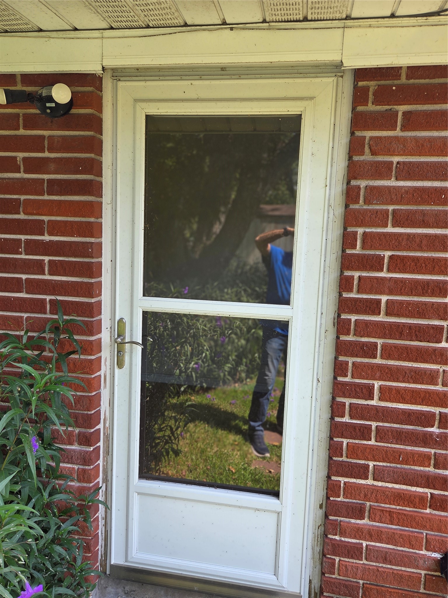 Storm Doors