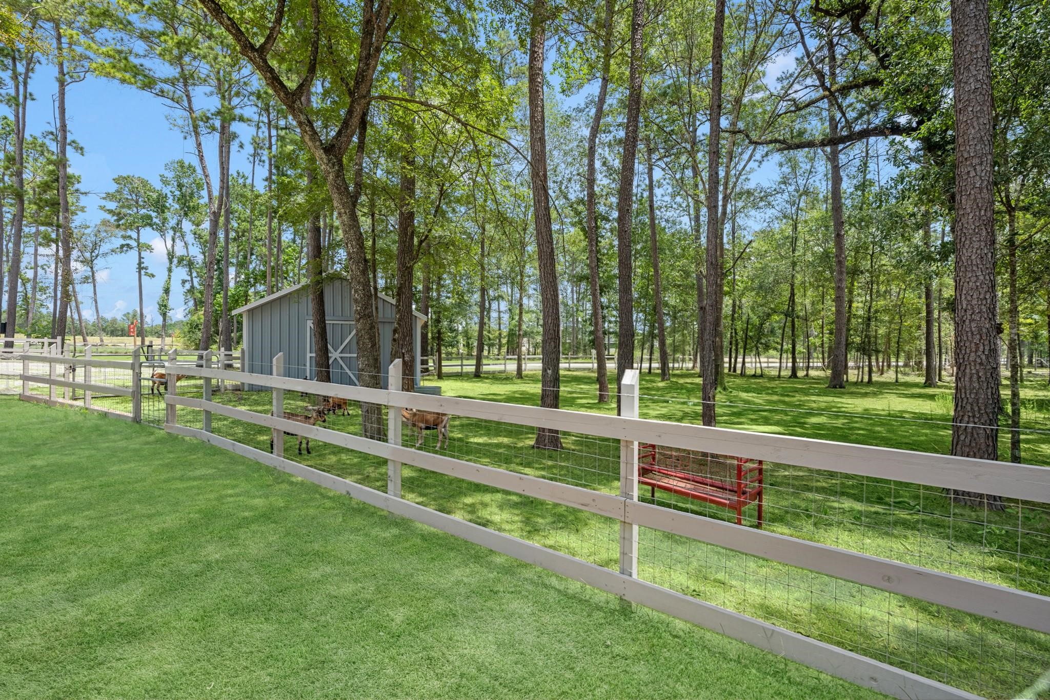 9158 Grand Jubilee Drive, Montgomery, TX 77316