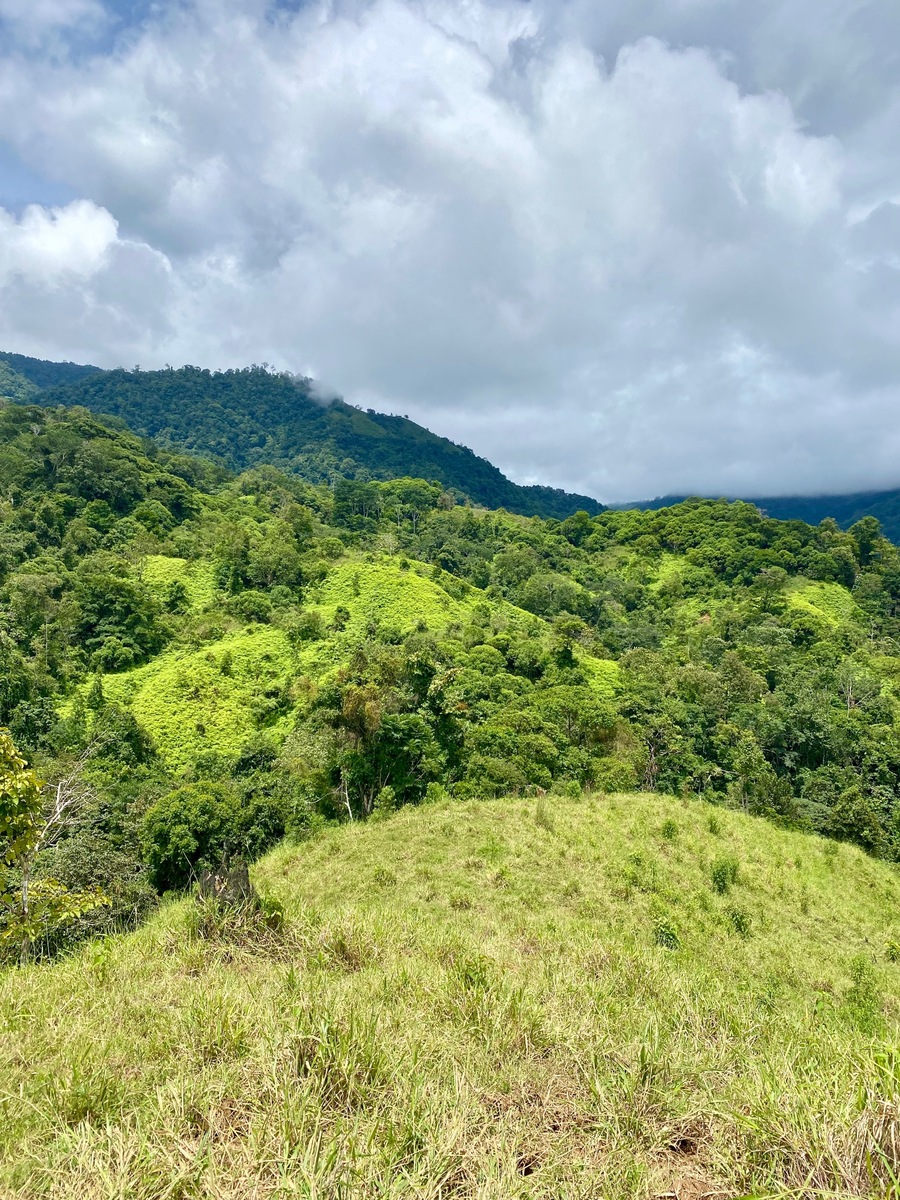 Tres Rios Waterfall Jungle Paradise With Cascading Waterfalls And Ocean-Mountain View, Tres ...
