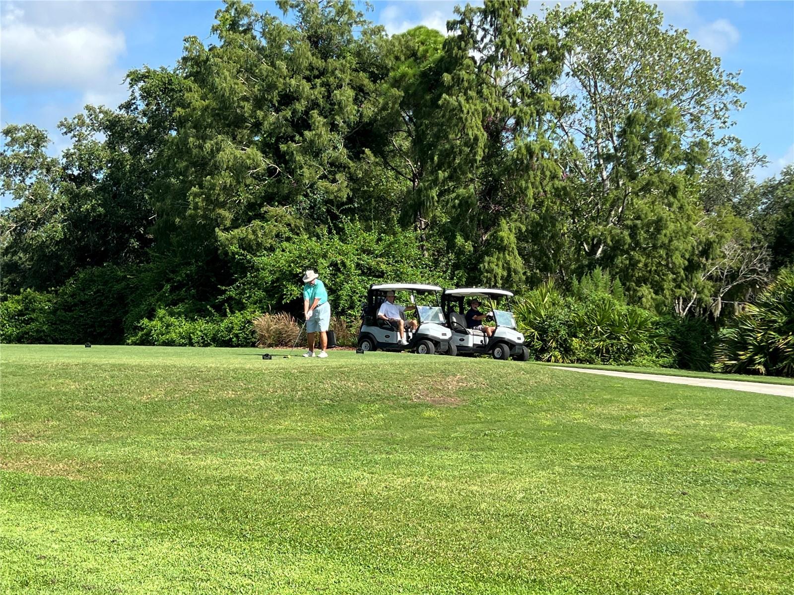 Golf for just $$ per day!