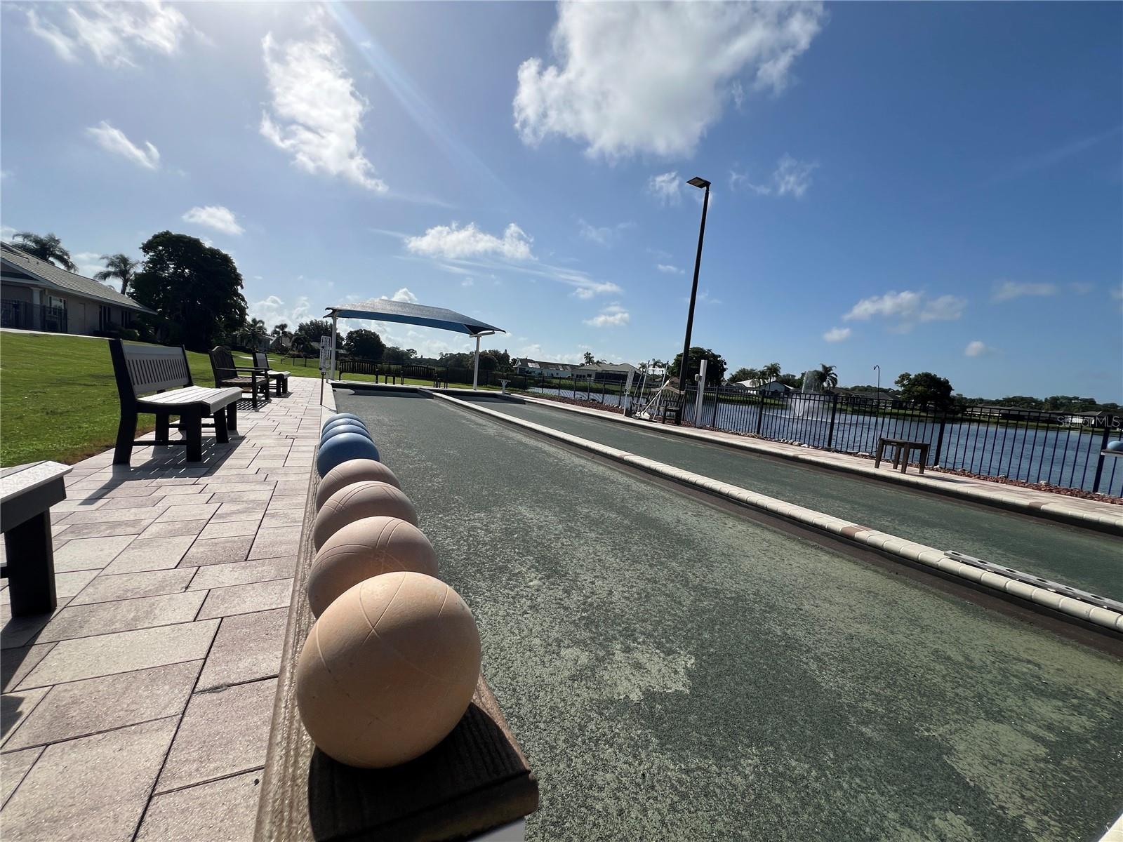 Shuffleboard