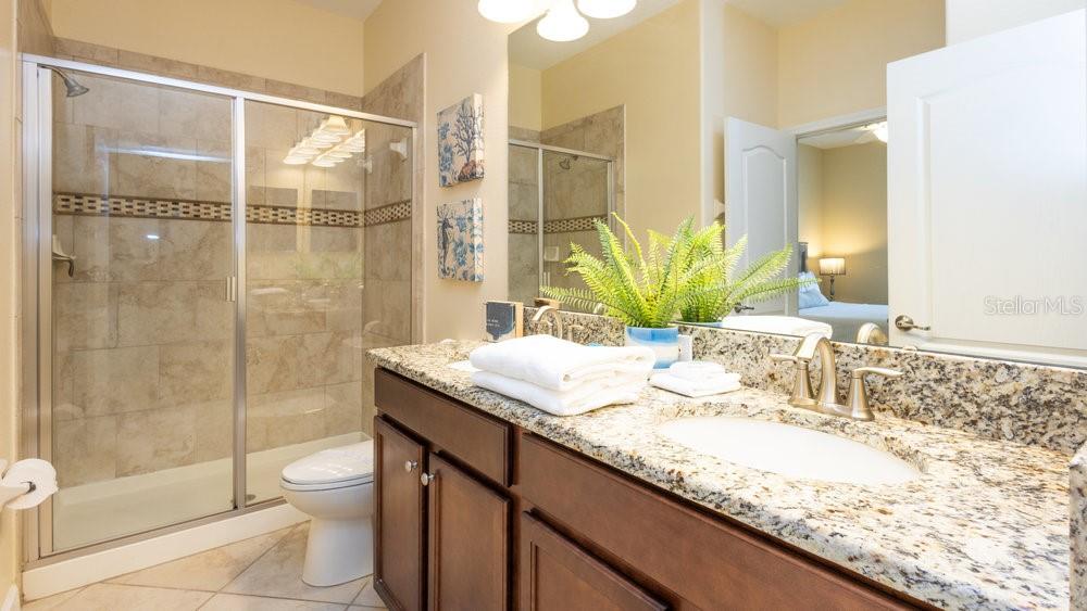 Guest Bath Lower Level