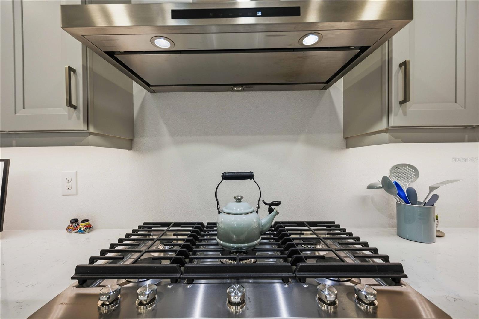 Gas cooktop & hood.