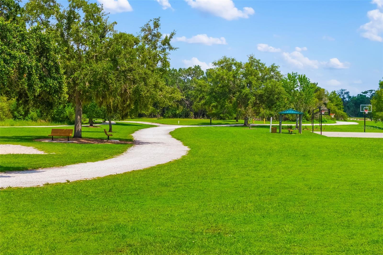 6226 BLUEFLOWER COURT, Lakewood Ranch, FL 34202