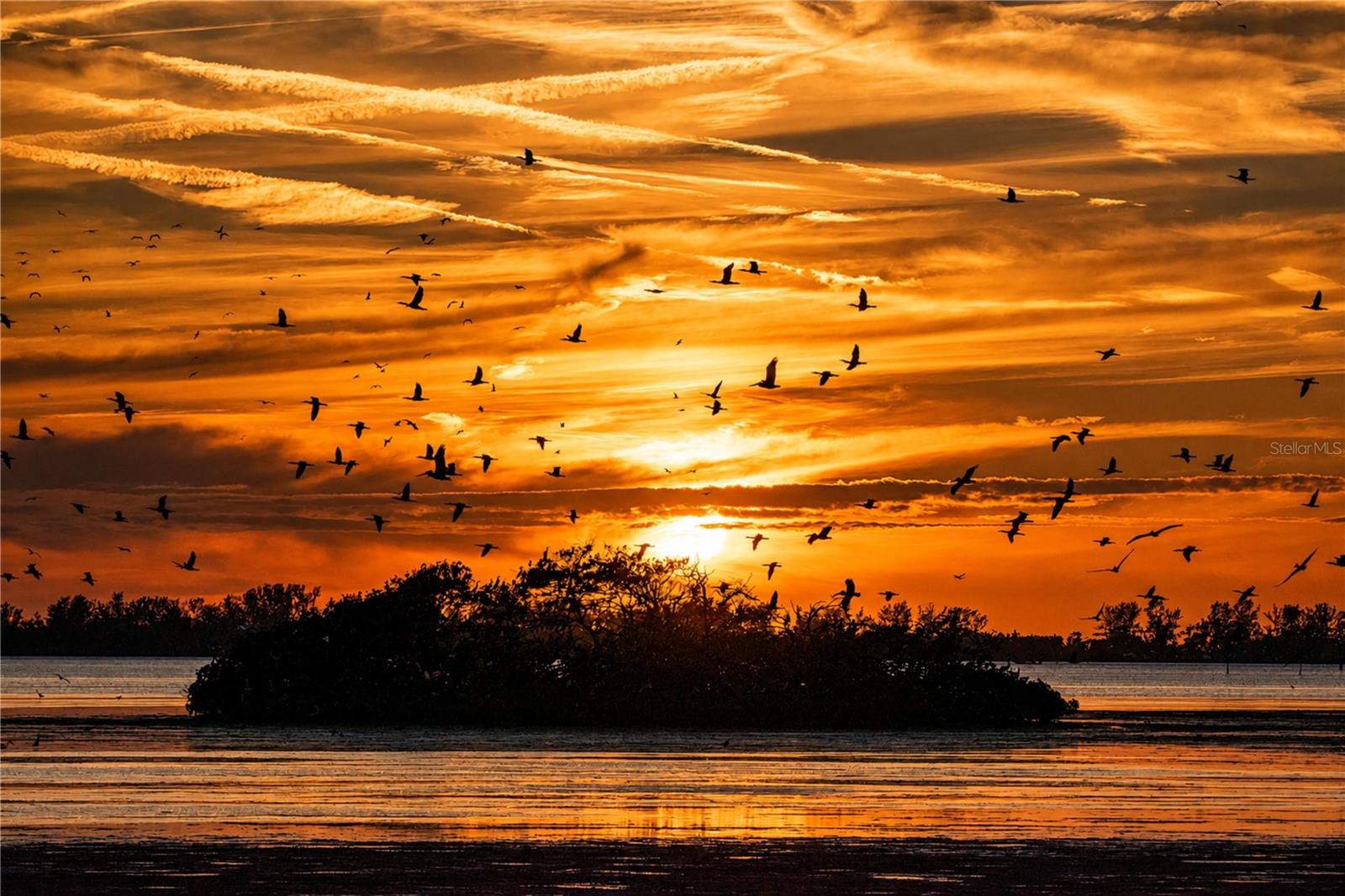 Mt Vernon sunset