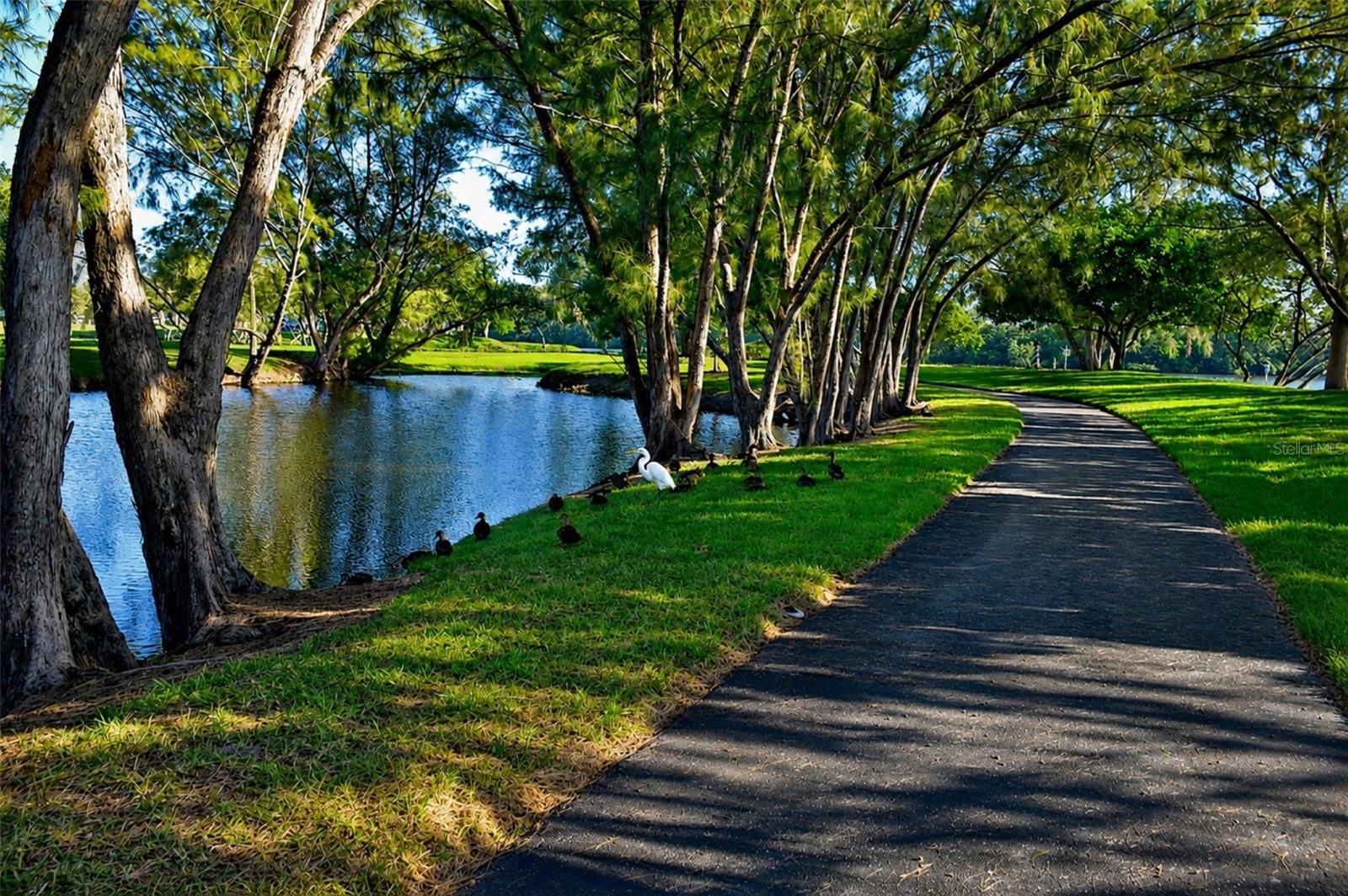 Mt Vernon bay front park lake along walking path