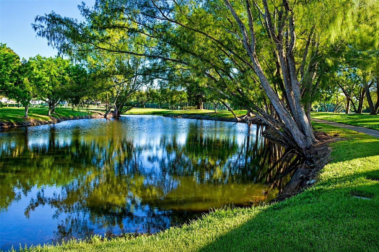Mt Vernon bay front park lake