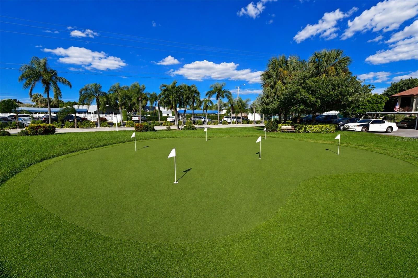 Mt Vernon chipping and putting green