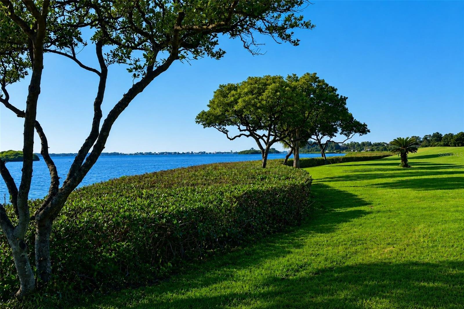 Mt Vernon coastline on Sarasota Bay