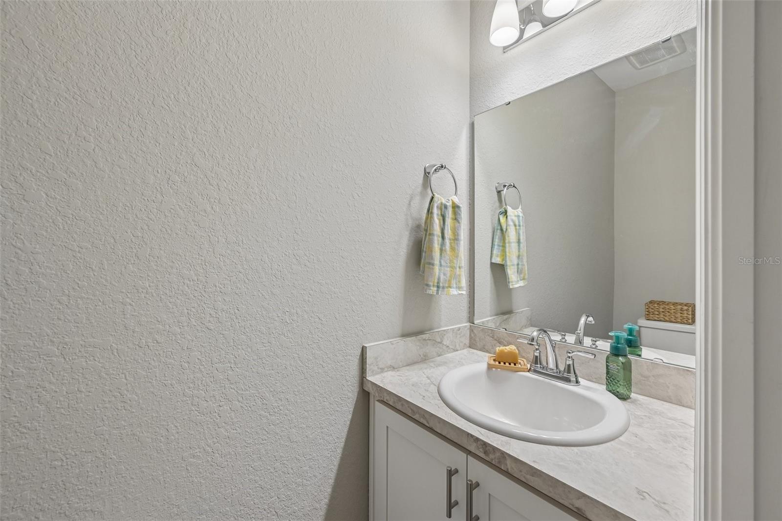 downstairs guest bath
