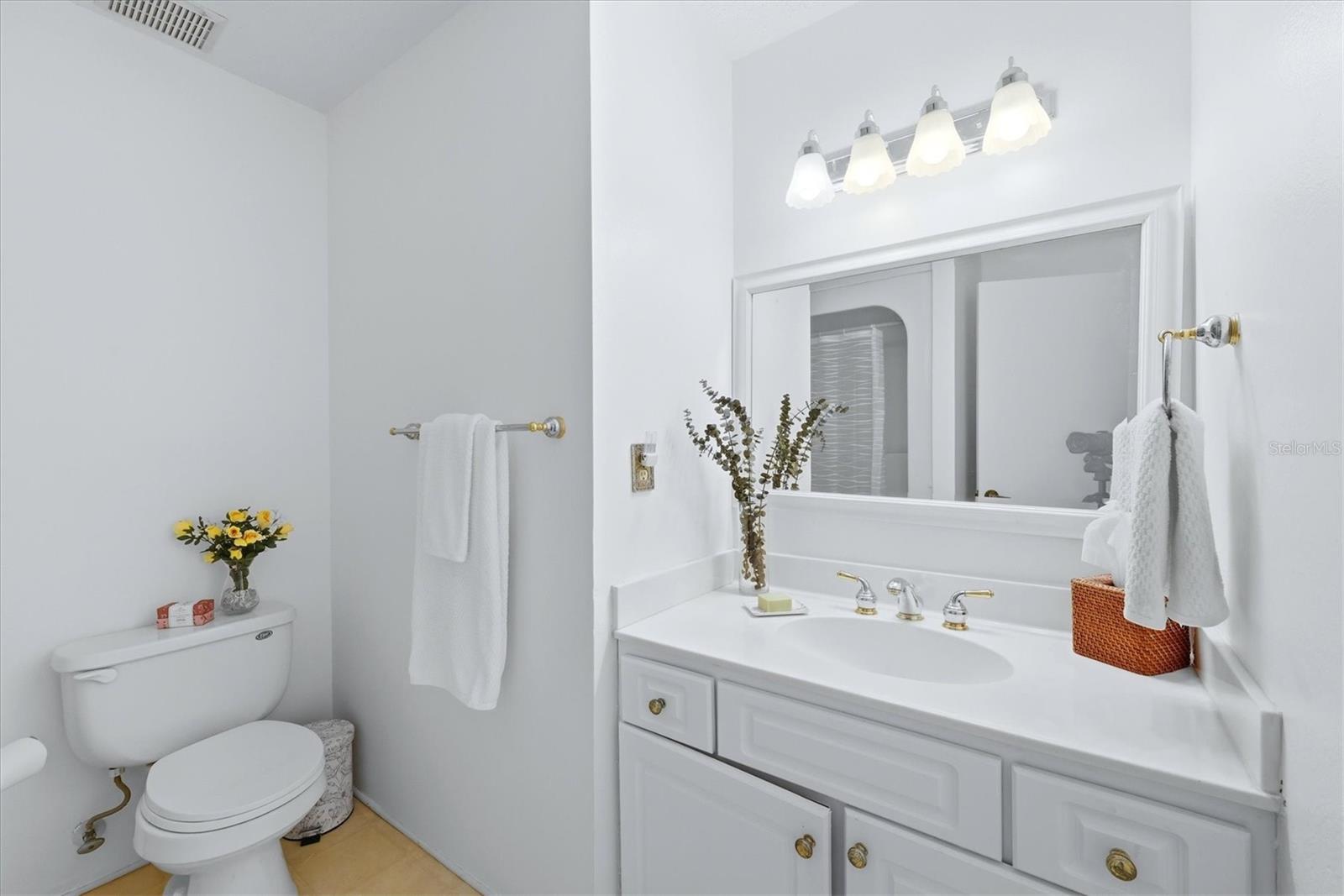 Guest bath