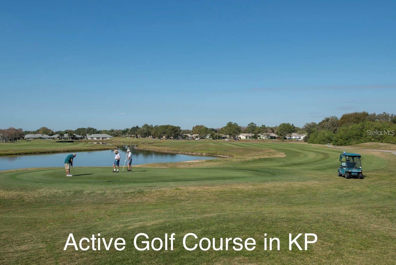 2437 NANTUCKET HARBOR LOOP, #2437, Sun City Center, FL 33573