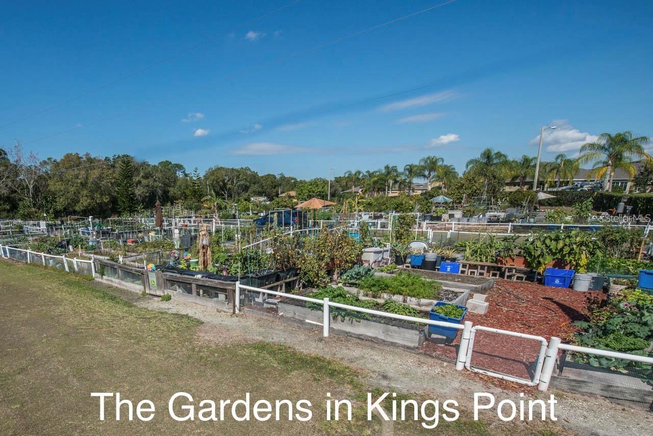 2437 NANTUCKET HARBOR LOOP, #2437, Sun City Center, FL 33573