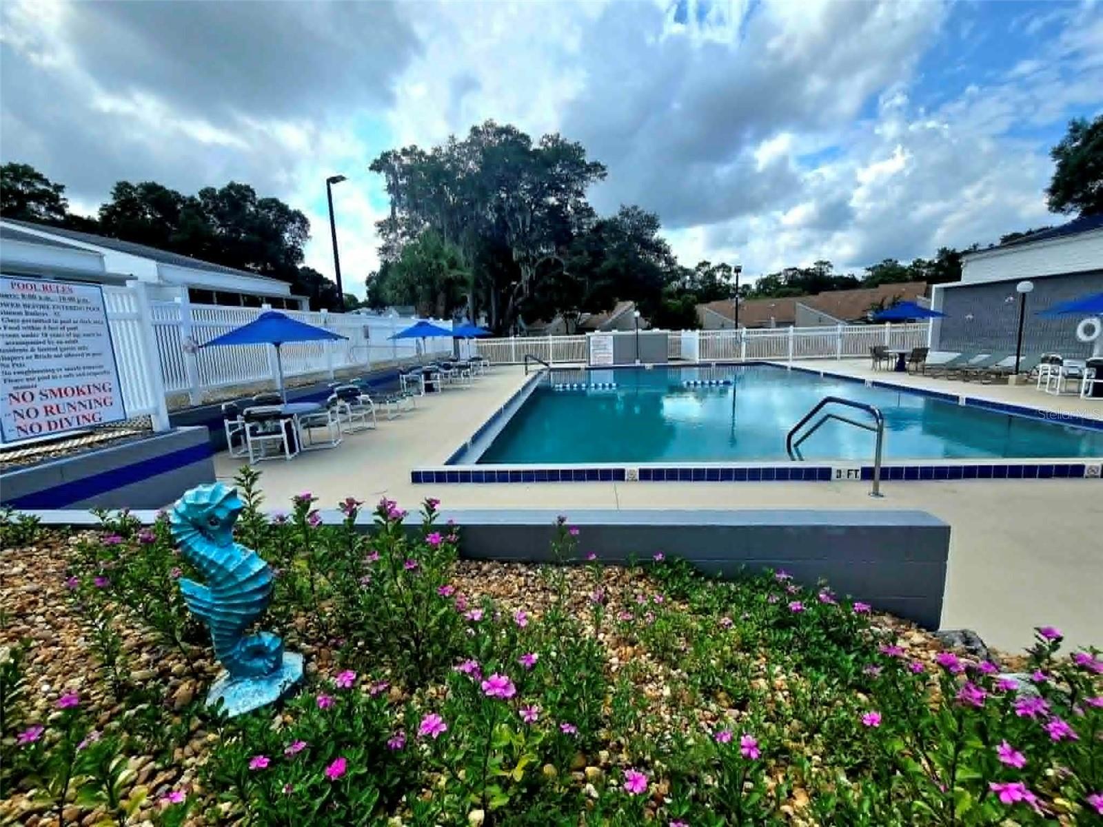 Community Pool