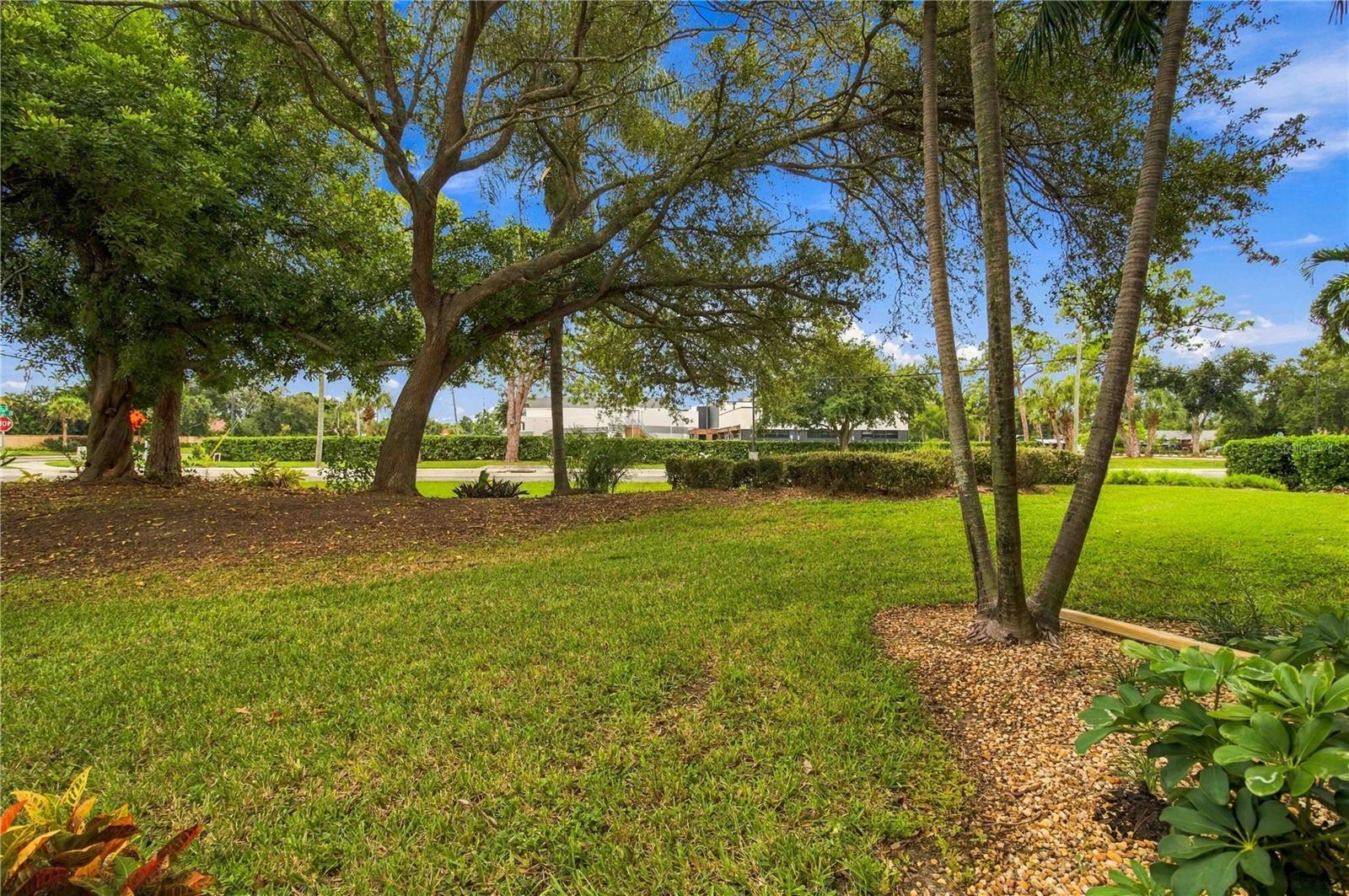 Yard from lanai