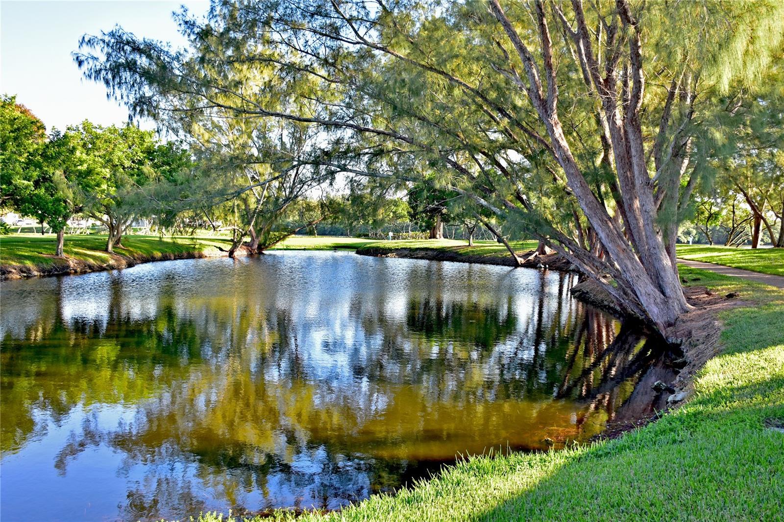 Mt Vernon park lake