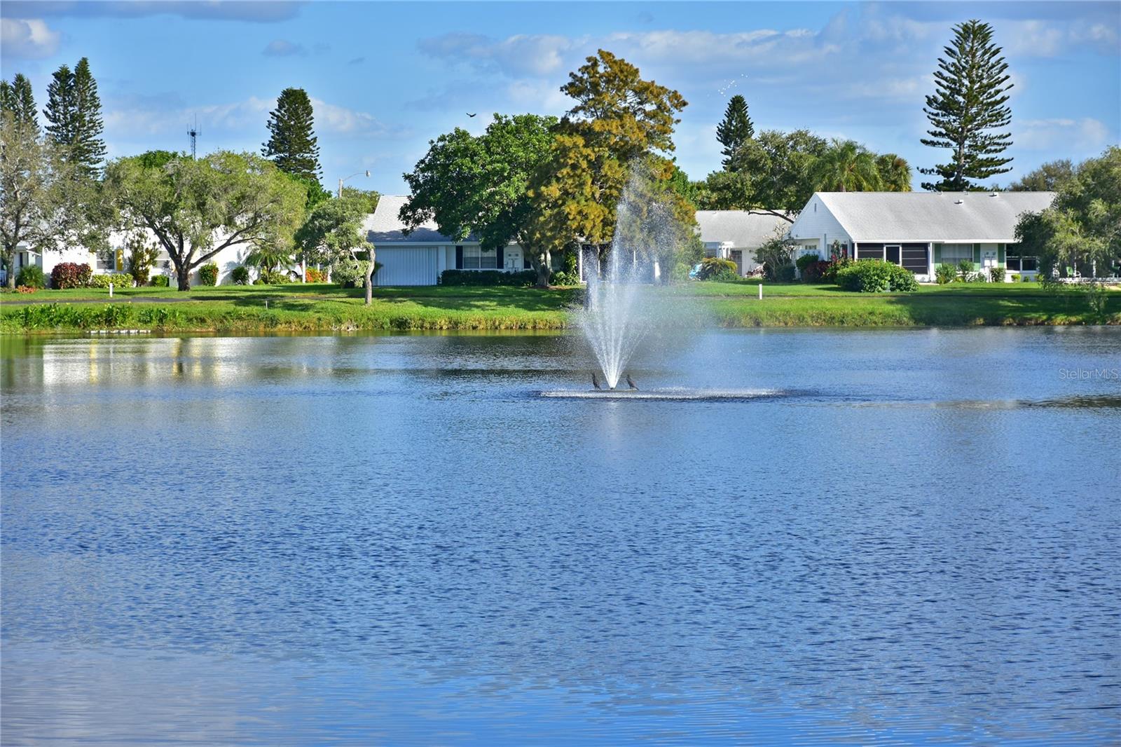 Mt Vernon fountain