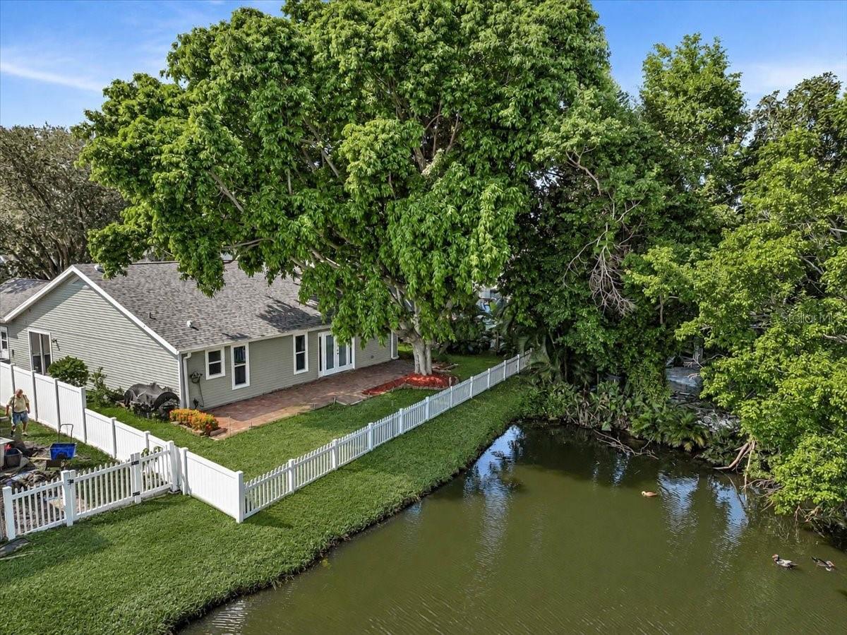 Back of Home at Pond