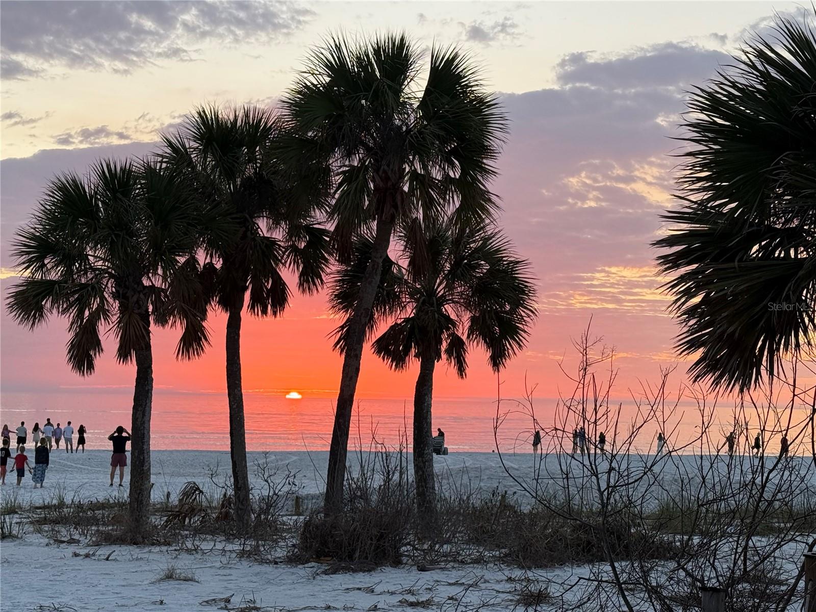 Siesta Sun Sets
