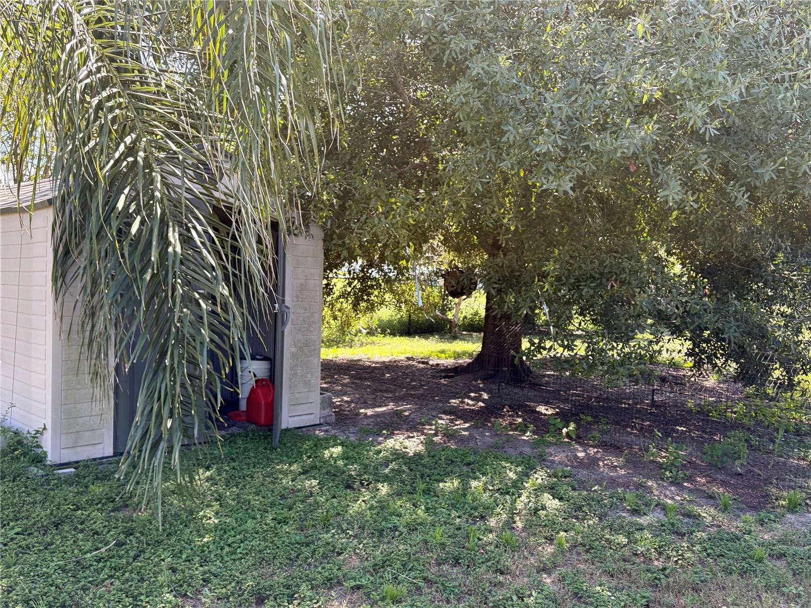 Storage Shed in Rear